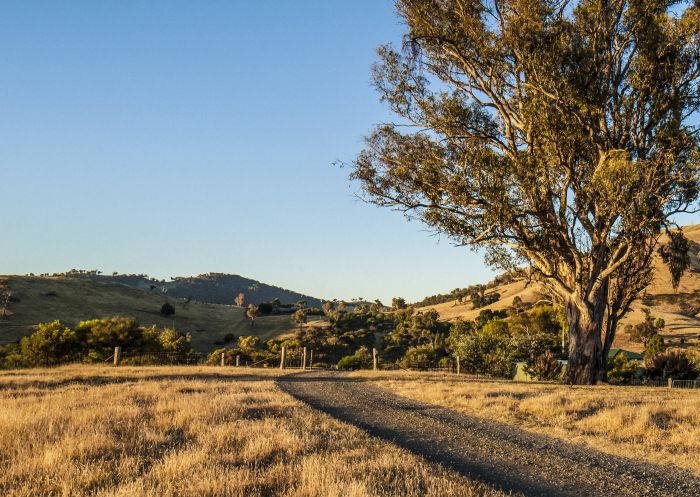 Tumut countryside, Kosciuszko National Park